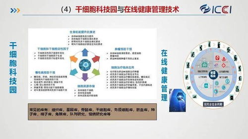 國合院發布八大規劃與產業化業務布局，賦能旅游開發項目策劃咨詢新篇章